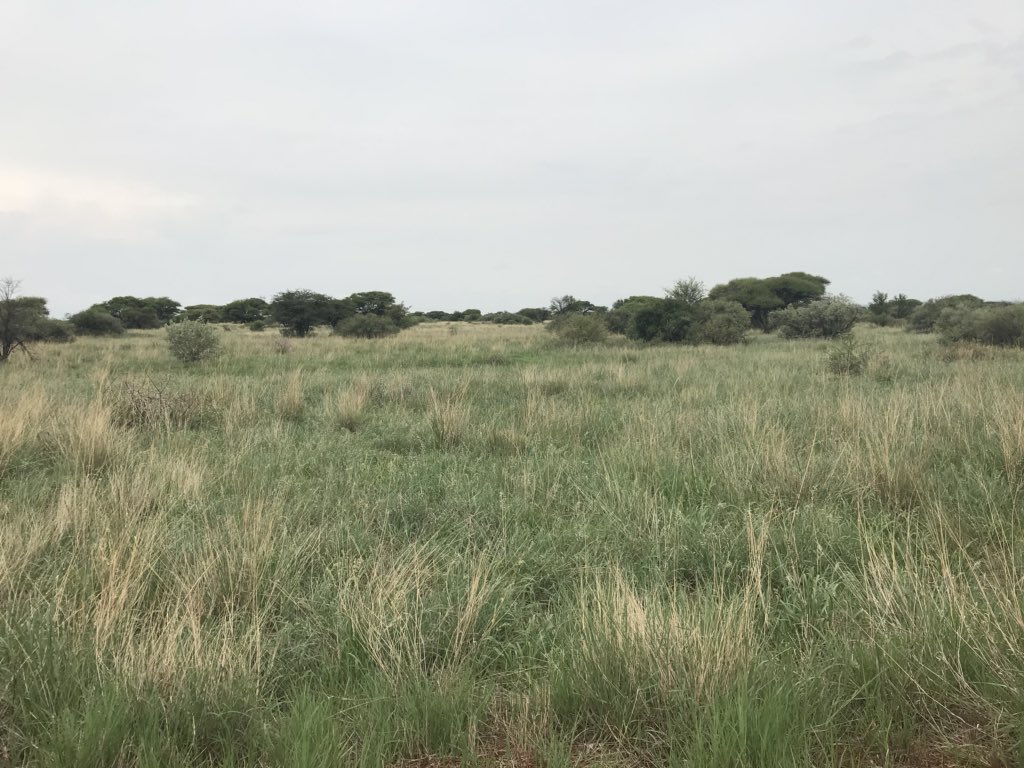 @TrueNorthValuers tweet media