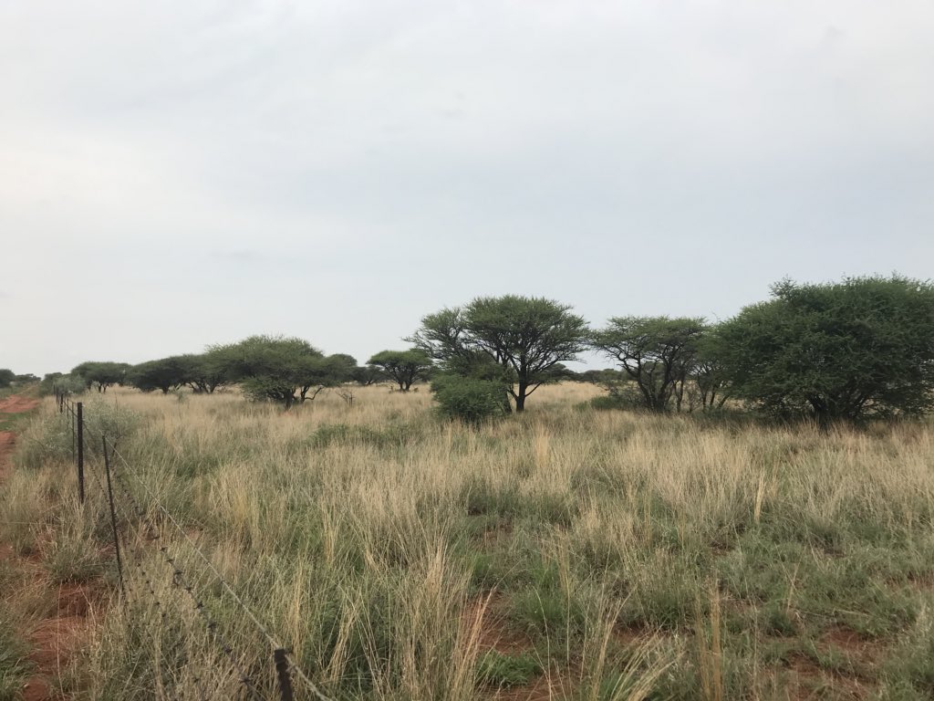 @TrueNorthValuers tweet media