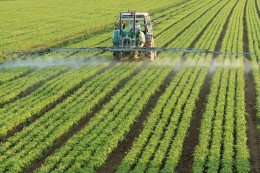 EHSLdrs's tweet photo. Fewer Field Trials Needed to Register Seed-Treatment Uses https://t.co/UbzutTEiGS #EHS https://t.co/bwvhlXsYN9
