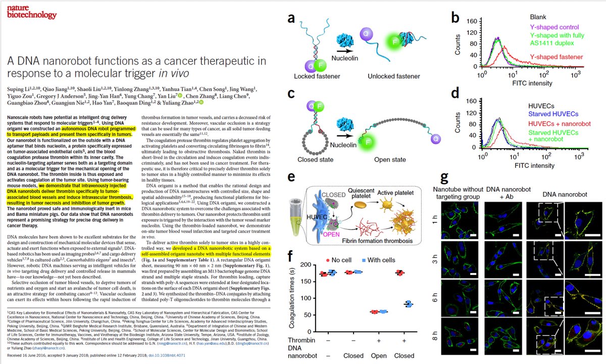 Not sci-fi anymore: DNA nanorobots to deliver @cancer therapy nature.com/articles/nbt.4… <a href="/NatureBiotech/">Nature Biotechnology</a>