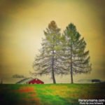 LiteraryMama's tweet image. Is there something in your life, an act or a ritual, that helps you in your writing process? Claire Armstrong talks about hers in this week's After Page One blog post. bit.ly/2BVAG9W 

#AmWriting #WritingRitual #WritersLife