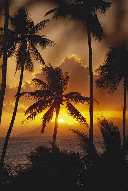 caldera_jacob's tweet photo. Happy Monday Everyone. Have A Wonderful & Blessed Day. #NewWeek #FreshStart #DoEverythingRight https://t.co/fSwmUNy78K