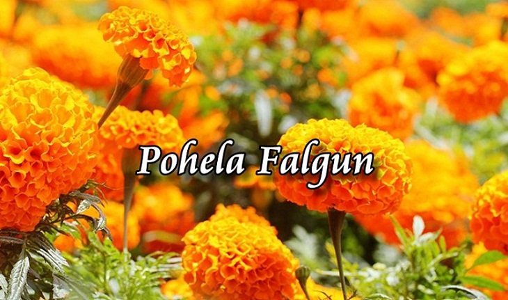FreelancerHasna's tweet photo. With blossom of flowers and new leaves in trees, nature is getting fresh and colorful shape that touch heart and minds of all ages of people as spring (Pahele Falgun) is knocking on the door. https://t.co/WUN79DaBV9