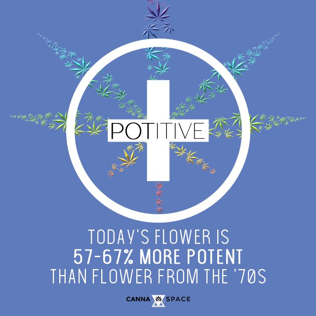 thecannaspace's tweet image. wake and bake and start your week more potently with this potitive flower fact... #potitive #positive #pot #facts #flower #potency #wakeandbake #marijuana #legalization #recreational #medicine #healing #natural #remedy #cannabisculture #cannabiscommunity #womenandweed