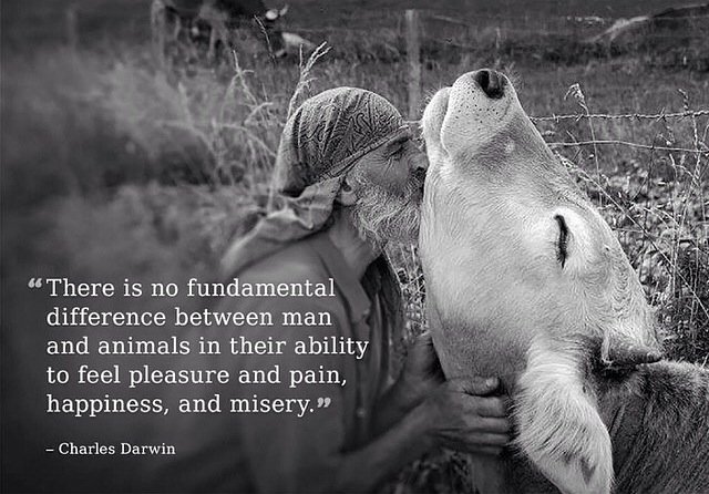 #DarwinDay 
#StopAnimalCruelty #ChooseCompassion #StopAnimalAbuse 
#FreeTheCages #FreeTheTanks #BanTrophyHunting #BanFurFarms 
#AnimalRights #MeatIsMurder #DairyIsScary #GoVegan🌱