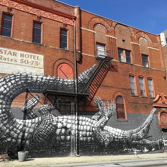 nathaliedumon's tweet photo. #ROA is everywhere! #roaspotting #streetart #grafitti #Atlanta #gentrepresent https://t.co/hASh0pax8s https://t.co/SvDGgjAjkV