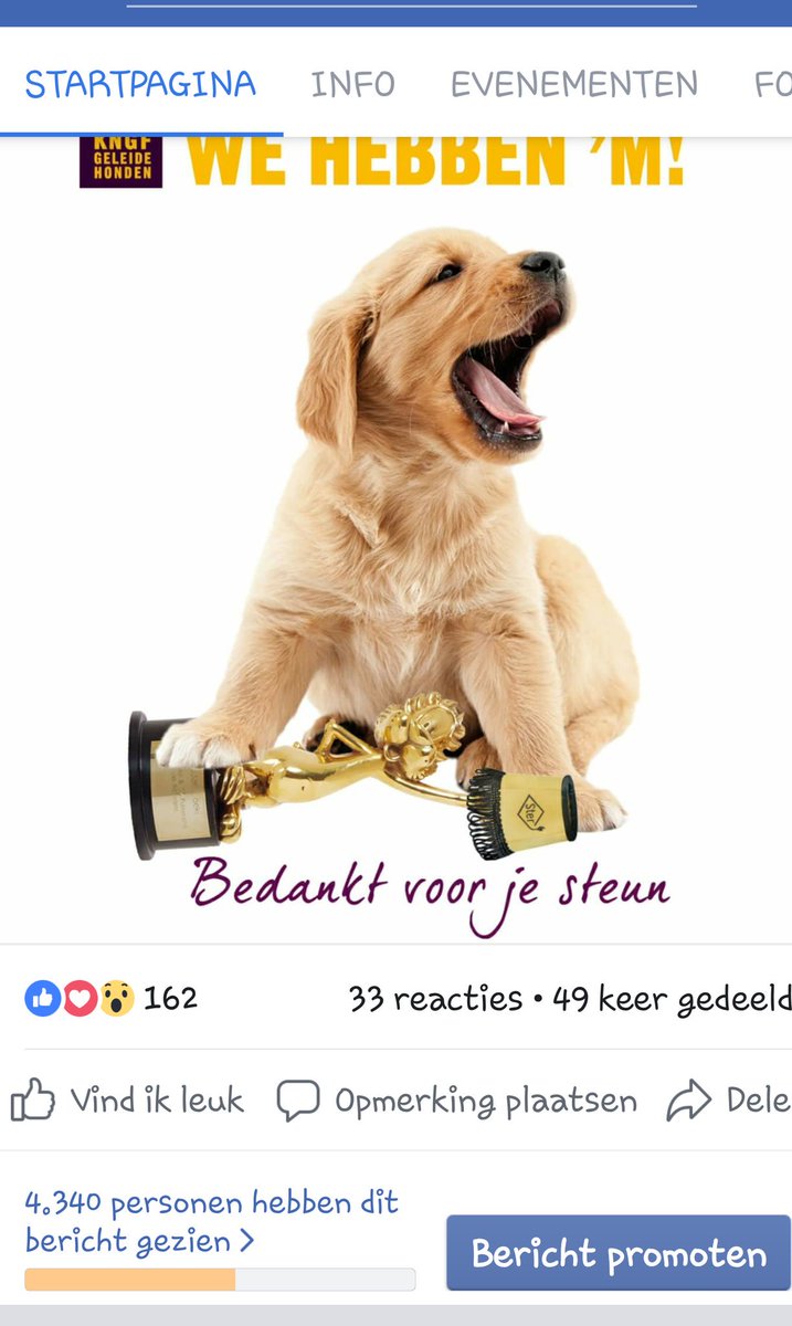 DMRC2015's tweet image. Na ruim 2 jaar is het zover! Onze eerste KNGF hulphond is gematchd aan een marinier. Lees het hele verhaal; m.facebook.com/story.php?stor…