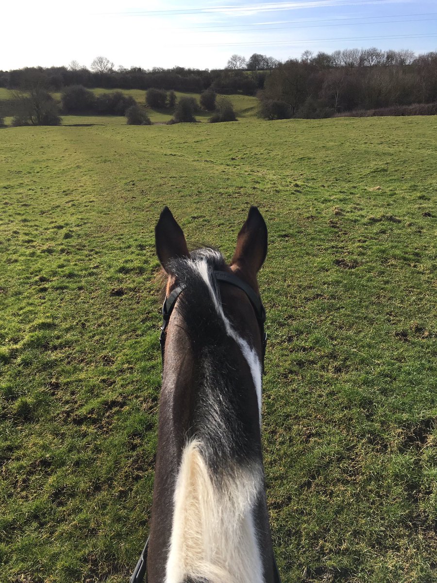 RocketEventing's tweet photo. Just me and my boy riding around 100 acres in the sunshine ☀️ #perfection https://t.co/K8RV4BqO42