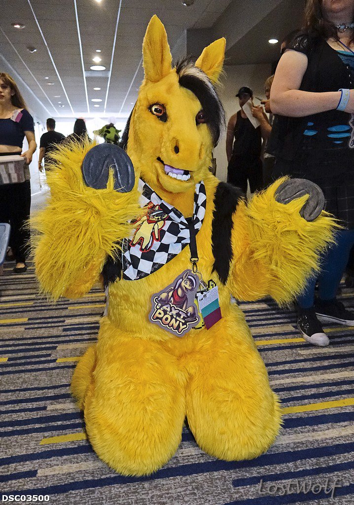 LostWolf321's tweet photo. It's Taxi Pony from FA (Don't know Twitter) @Califur #CF2015
https://t.co/J0mYSavVh5 https://t.co/4XREIljswd