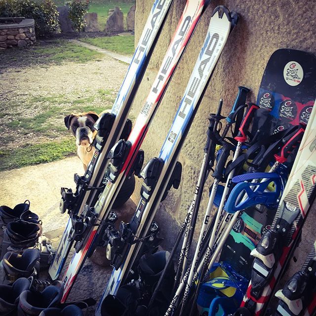 PazoBarbeiron's tweet photo. O Pazo Barbeirón ofrece -en colaboración con @tmsportbike- o servizo de aluguer de material de esquí. 😍Asimesmo Coco, o noso bóxer, presta o servizo gratuito de vixilancoa do material 🙃 #Pazoterapia #SlowHotel #Manzaneda #RibeiraSacra #Esqui #Neve #Ski #skiing #snow #snowboa… https://t.co/mA9DbTZTS9