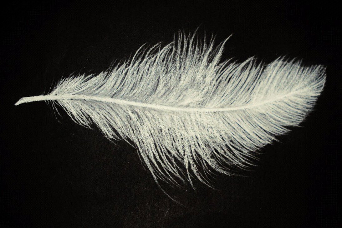 TamworthLitFest's tweet image. #poetry as therapy #workshop with author Sharon Rose @TamworthLitFest Saturday 10th March #TamworthLibrary #free @TAMinformed @tamworthherald @TamworthWriters @TamworthReads @TArtsandEvents @StaffsLibraries eventbrite.com/e/workshop-poe…