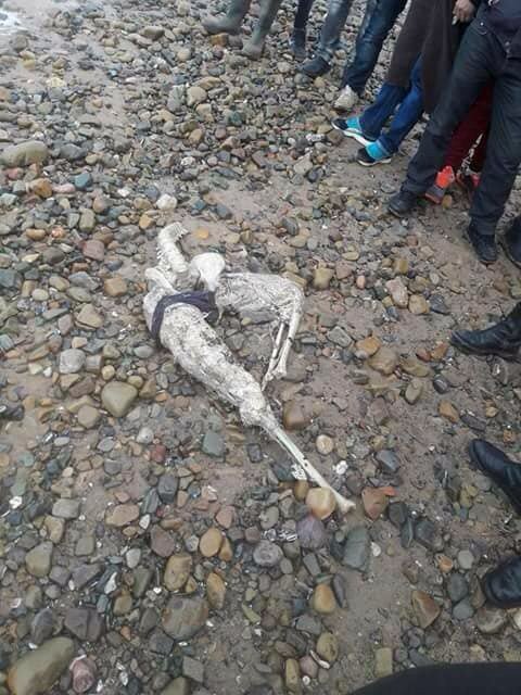 اكره فيك كل شيء اجبر الروح التي كانت تسكن هذه الجثة يوما على الهروب منك...

#كرهت_في_بلادي