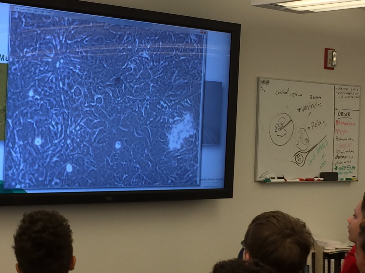 tomtakeflight's tweet image. Great STEM activity at St. Boniface Research Centre. Live cardiac muscle. #youthBIOlab #St.Boniface hospitalresearch #SBRC