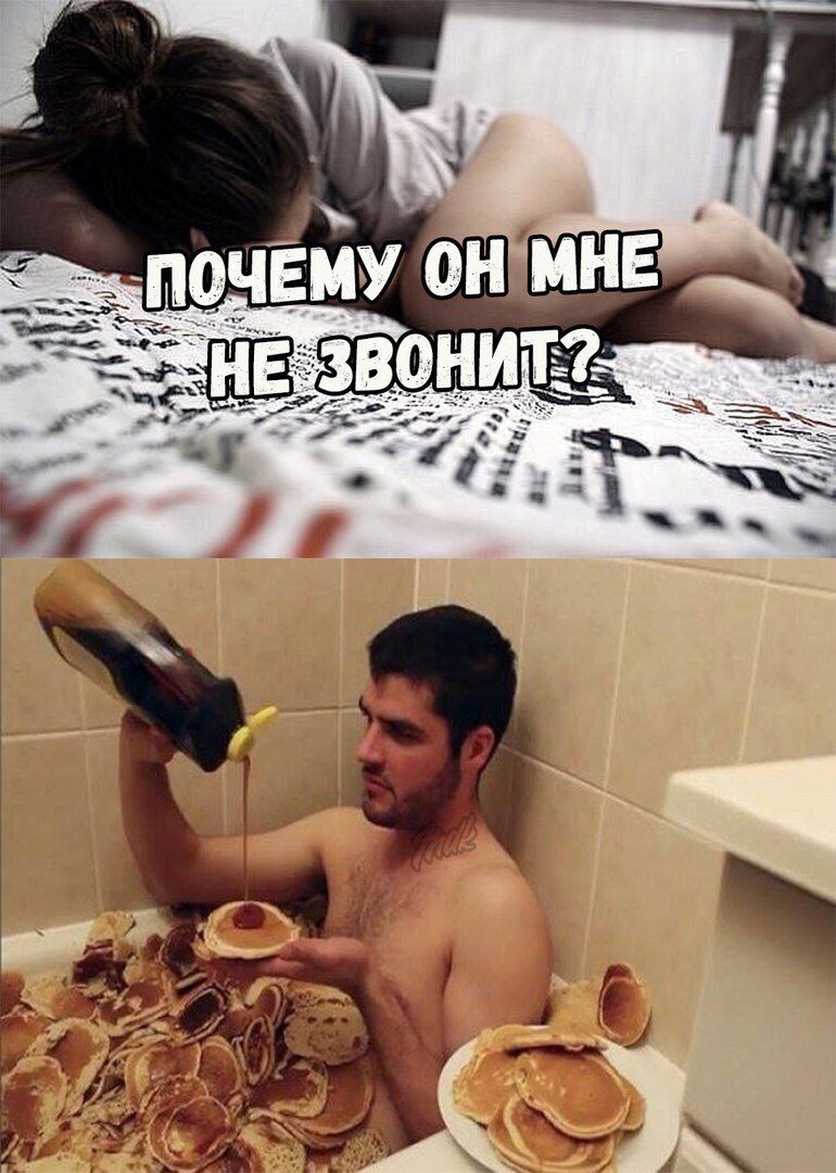 Кота, почему он не звонит картинка прикол