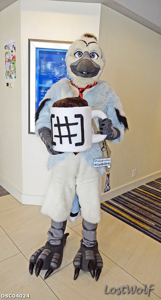 LostWolf321's tweet photo. It's @CorvinBirdy the coffee bird @Califur #CF2015 https://t.co/CyyQWka2A8