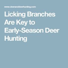 genderwatch2016's tweet photo. Licking Branches Are Key to Early-Season Deer Hunting https://t.co/UXmT57DEA1