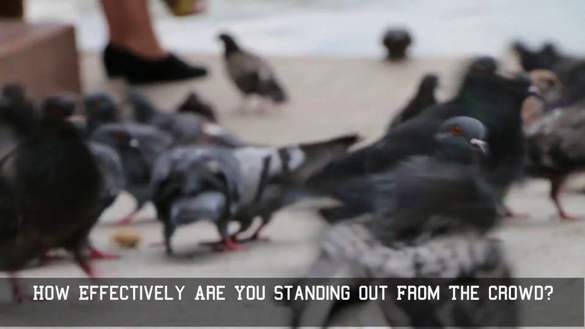 FunVidClick's tweet photo. How Effectively Are You Standing Out From The Crowd?

https://t.co/MnMZpaYvD5

#unique #original https://t.co/JqYDBFMkQA