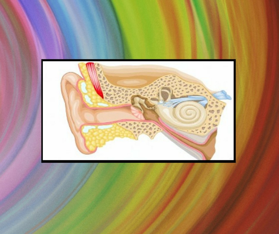 360Balance & Dizziness tweet media