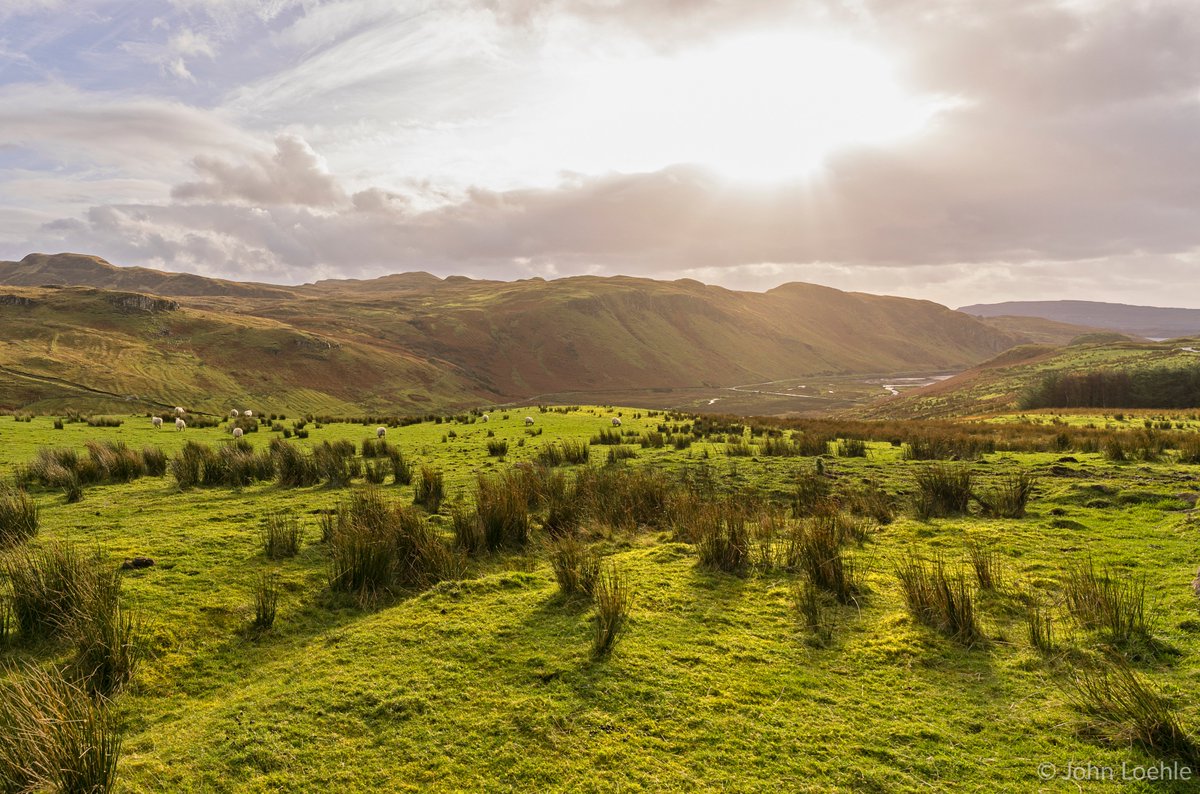 Have you ever wanted to up your photo game beyond what your phone's camera can do?  If so, I've made a short video just for you that explains the basic principles that go into getting an awesome photograph. Video at youtu.be/mY4wFziecew