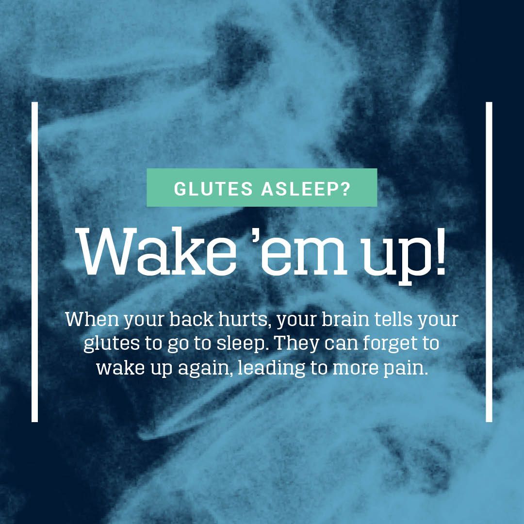 scientificbrace's tweet photo. When your #backhurts, your brain tells your glutes to go to sleep as a protective response, causing you to use your hamstrings and back extensors instead. Wake your glutes back up using bridges and side-lying clamshell exercises. #backpainrecovery https://t.co/uXOdb8EPd3