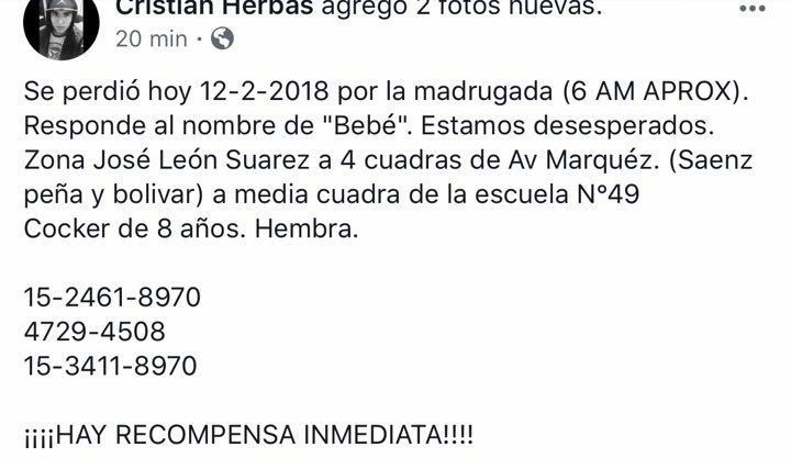 NadiaAbigaail's tweet photo. Se llama Paz pero responde al nombre que dice ahí tamb, por favor🙏 https://t.co/Ma2dbqztE1
