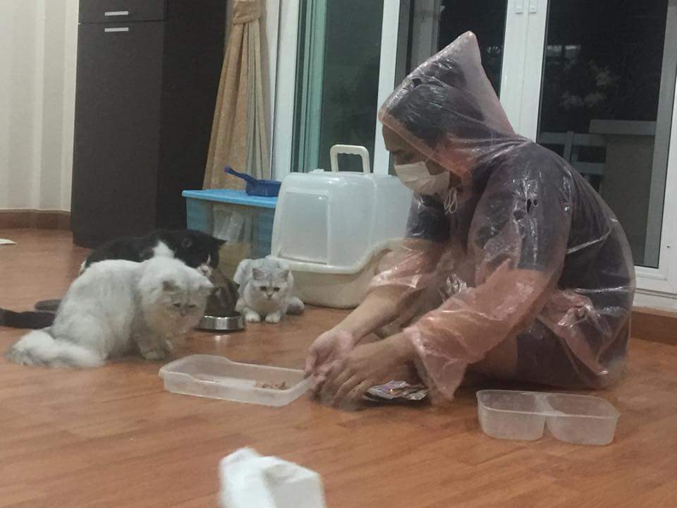 Bonusiie's tweet photo. คือน้องชายเป็นภูมิแพ้ชอบจามเวลาอยู่ใกล้แมวแต่นางก็อาสาจะเป็นคนดูแลให้ ละนี่แม่ส่งมาให้ดู โอ้ยยยย ถ้ามันจะขนาดนั้นน https://t.co/HyvwV4mNS3