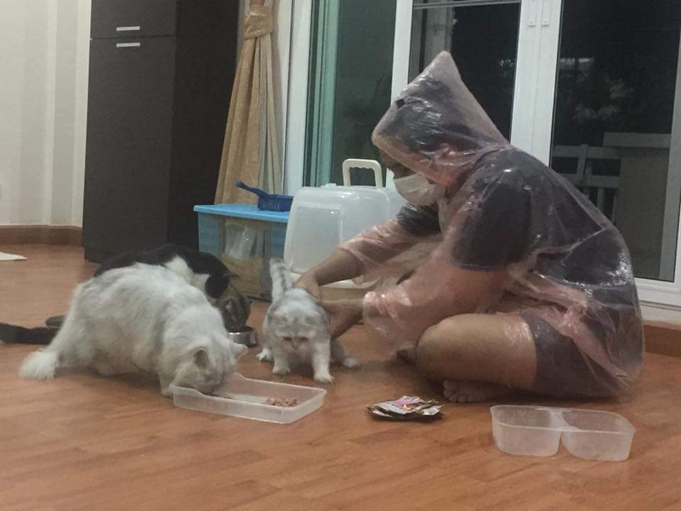 Bonusiie's tweet photo. คือน้องชายเป็นภูมิแพ้ชอบจามเวลาอยู่ใกล้แมวแต่นางก็อาสาจะเป็นคนดูแลให้ ละนี่แม่ส่งมาให้ดู โอ้ยยยย ถ้ามันจะขนาดนั้นน https://t.co/HyvwV4mNS3