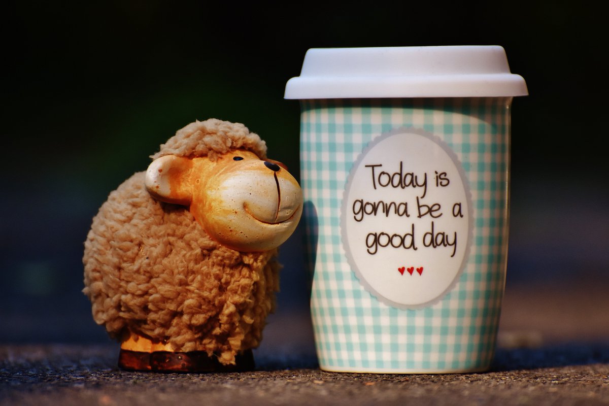 FGCBerks's tweet photo. Repeat after me, "Today is going to be a good day!" #MondayMotivation #HappyMonday #GreatDay #YouAreAmazing #YouAreSpecial https://t.co/wbD9qWlv9Y