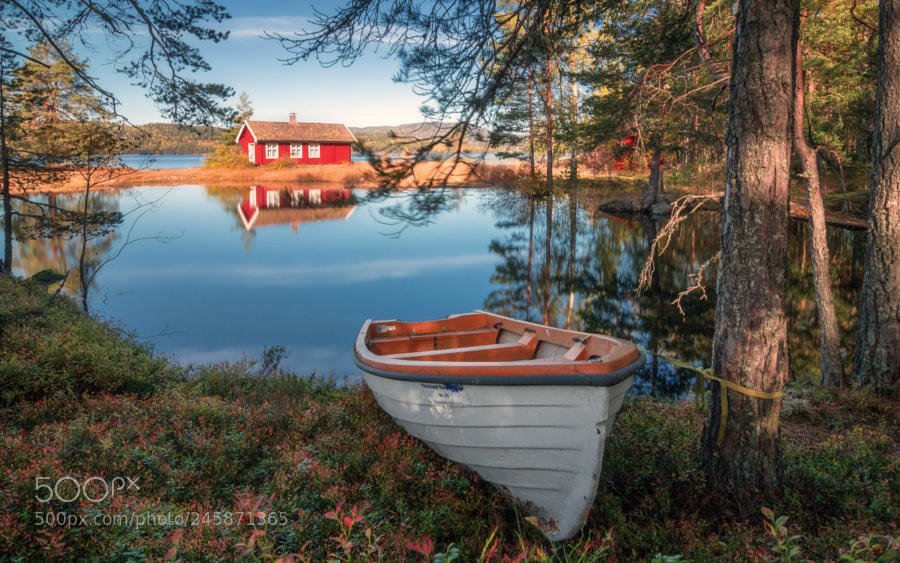 In Autumn Backlight by DanielHerr #photo