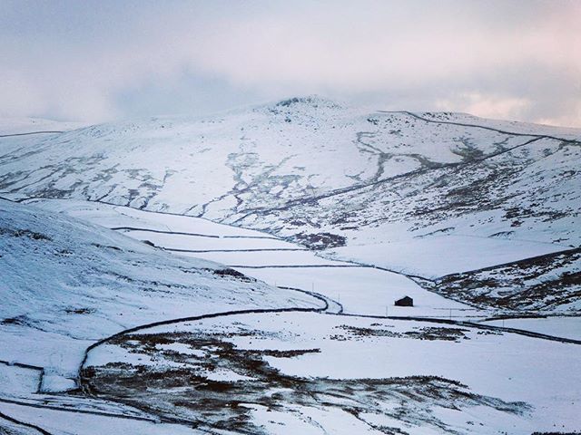 FriendsDales's tweet photo. Rye Loaf Hill above traditional field patterns near Settle this morning. https://t.co/VEyrUWpeKb https://t.co/zr3OPlnpPq