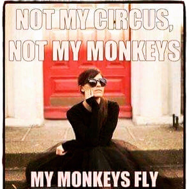 Herrendreama's tweet photo. My general, normal reaction to most things... https://t.co/nax6shPdDI