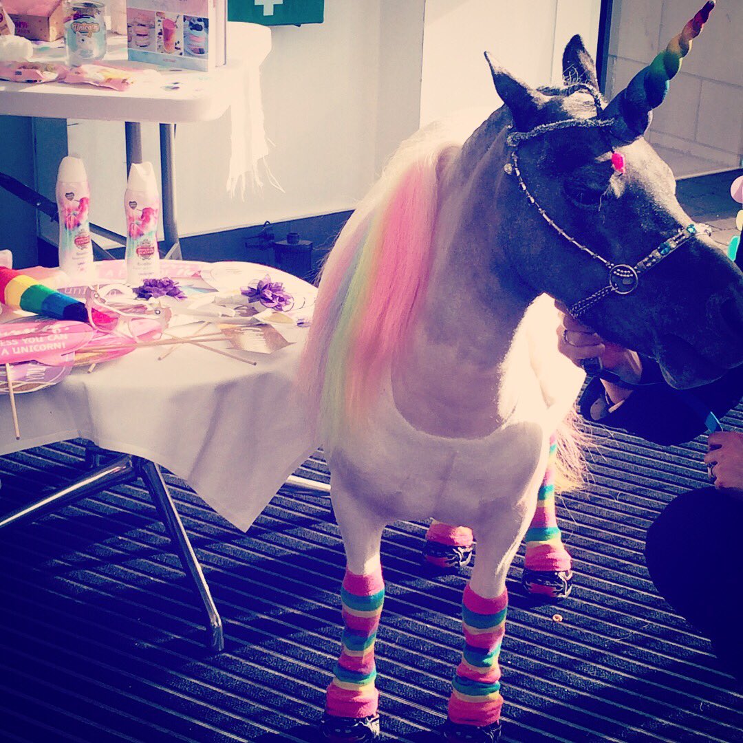 hannahclarecook's tweet photo. It's not every day that a Unicorn comes to say hello to you at work! #MakeMondaysMagic #unicorn @ImperialLeather ๐๐ฆโญ๏ธโ๏ธโค๏ธ https://t.co/ssQDlsL66f