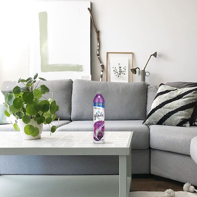 Nikpakcom's tweet photo. ⁣⁠⁣⁣❄
محیطتون رو همیشه، خوش‌بو نگه دارید😍
◀⁣⁣⁣⁣اسپری خوشبو کننده هوا گلید با رایحه اسطوخودوس

خرید همین حالا👇 
https://t.co/To8JgsabLt
#گلید
#نیک‌پاک https://t.co/oVrMs8I947