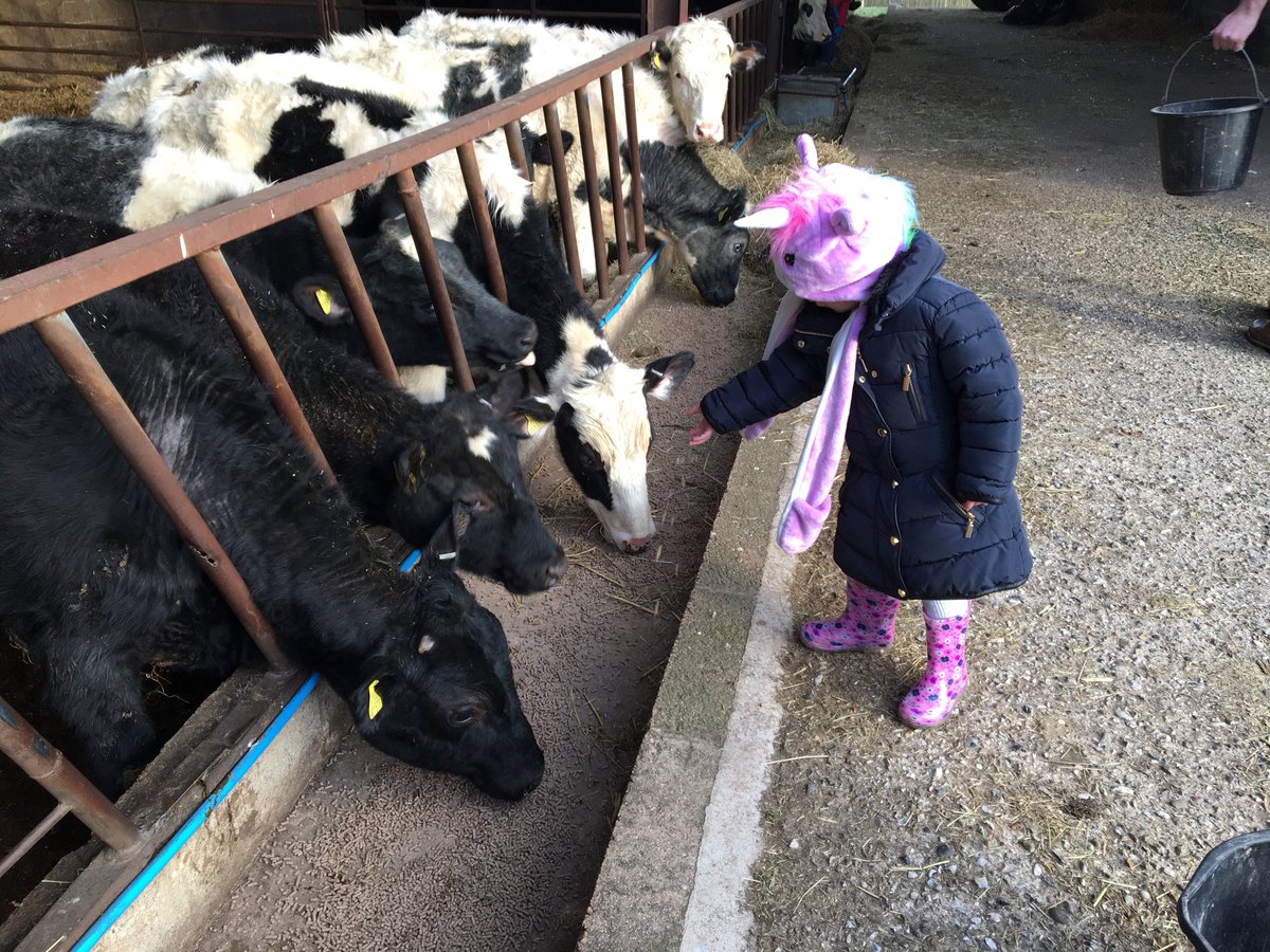 CookandButcher's tweet photo. One of the many advantages of being so close to our beef farm is that we get to visit when we like..
Even little helpers are welcomed 😉
#ProperButcher #ProperFarmer https://t.co/hV3p78jTX0