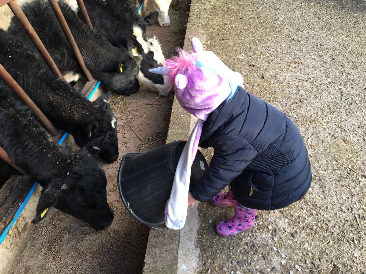 CookandButcher's tweet photo. One of the many advantages of being so close to our beef farm is that we get to visit when we like..
Even little helpers are welcomed 😉
#ProperButcher #ProperFarmer https://t.co/hV3p78jTX0