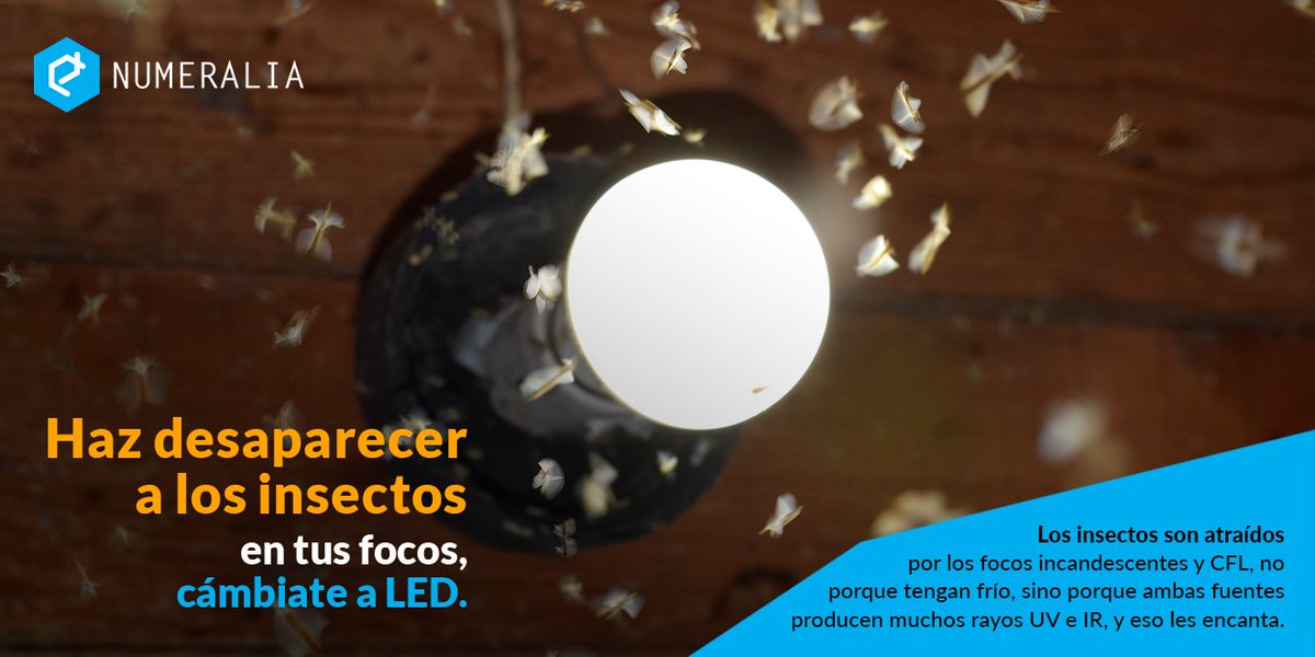 laserandled's tweet photo. Tienes una lámpara en el exterior de tu casa 🏡? Probablemente has visto insectos 🦗🕷 volando cerca de ella. Los focos incandescentes y CFL, emiten una gran cantidad de rayos UV e IR, eso es lo que atrae a los insectos. Si no te gusta tener a este tipo de visitas... #UsaLED https://t.co/MBNNDxXqZi