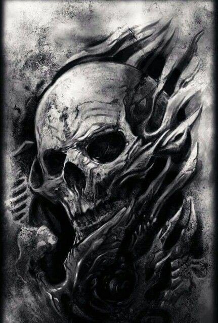 BunnieKat1962's tweet photo. #Skull https://t.co/NUITqJHtJn