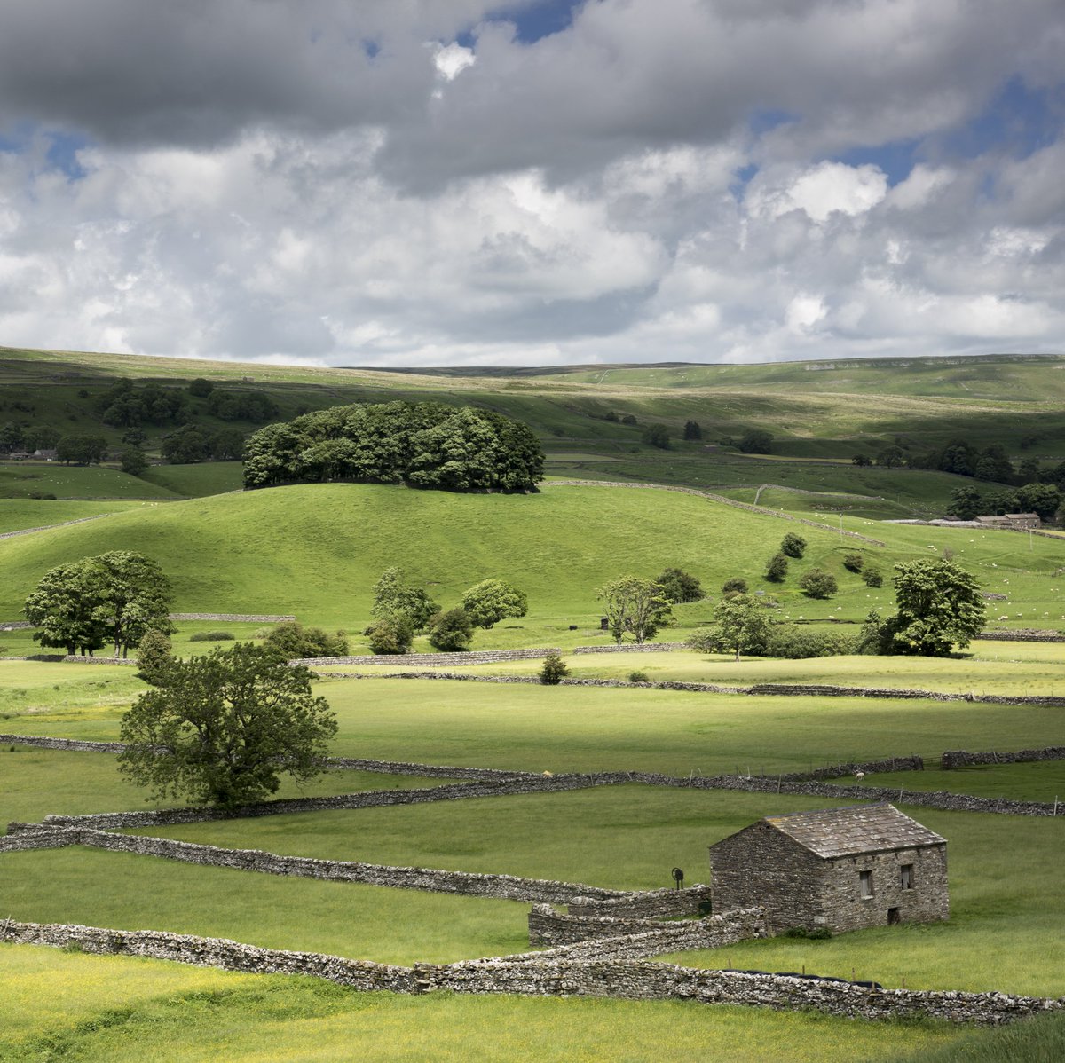I have just announced the dates for our 'Yorkshire Dales Meadow Flower and  Waterfalls' workshop this June, which will also include a visit to some of wonderful limestone pavements for which the Dales are known. imageseen.co.uk/yorkshire-dale… #YorkshireDales #Wensleydale