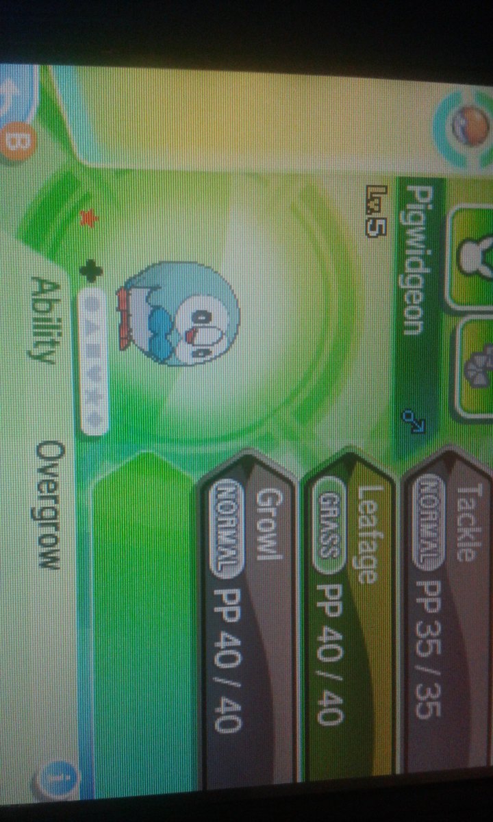 DI_Gremlin's tweet photo. @aDrive_tK Been soft resetting for this Rowlet ever since I got USUM in early December and I finally got it! Now I can finally play the game lol https://t.co/JW2xVSLslp