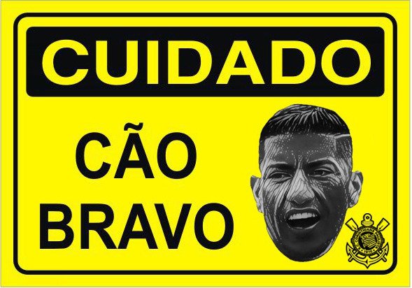 Ver imagem no Twitter