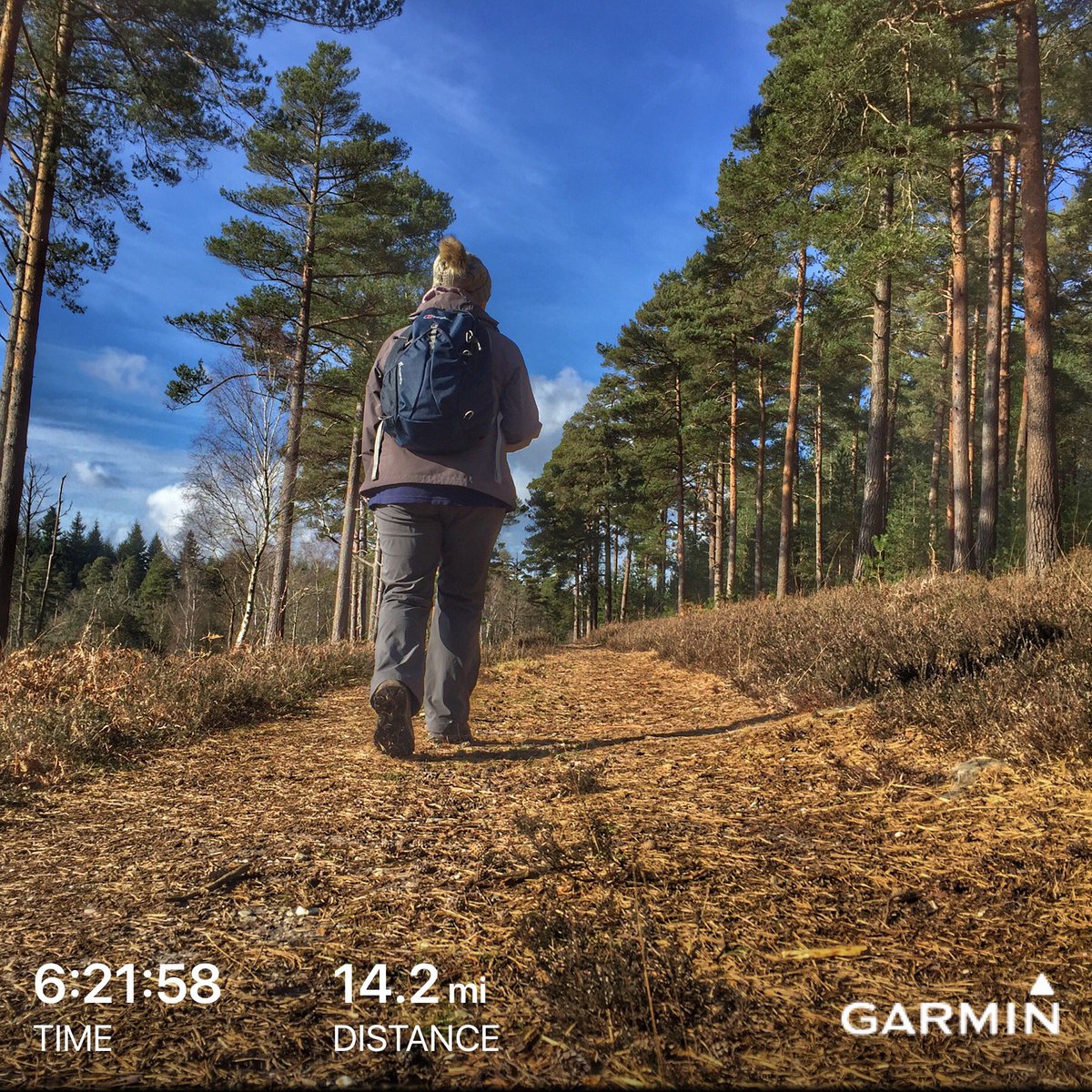 Chris_Paul's tweet photo. A really enjoyable 14 mile walk in the New Forest. Back at the hotel now to recover &amp; have a few beers #GetOutdoors #igooutdoors #walking #hiking #newforest #osmaps https://t.co/wmfdSNuGnF