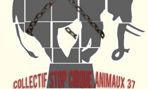 EmilienDeTours's tweet photo. 🚀 Lancement de la petition contre les Cirques avec Animaux dans le 37 par notre Collectif Stop Cirques Animaux 37. Amis des animaux merci de RT https://t.co/stJkiAT25x #Tours #StopCirque https://t.co/3poFBsxsP0