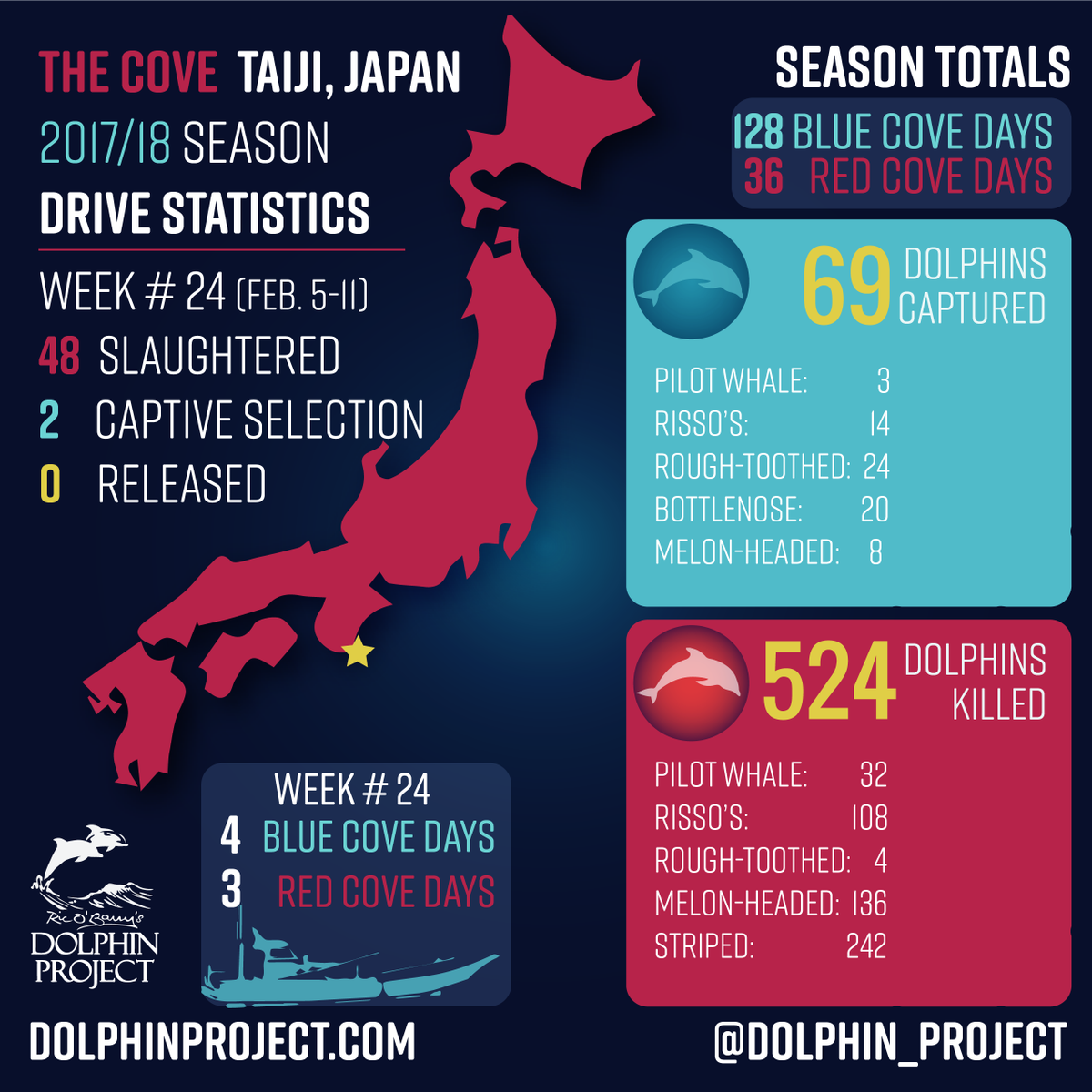 Dolphin_Project's tweet photo. Weekly update from #TheCove: Two species of dolphins were hunted in Week #24 of Taiji’s hunts. Take Action: https://t.co/BkupXmhEip #DolphinProject https://t.co/7w0Z5ylWIv
