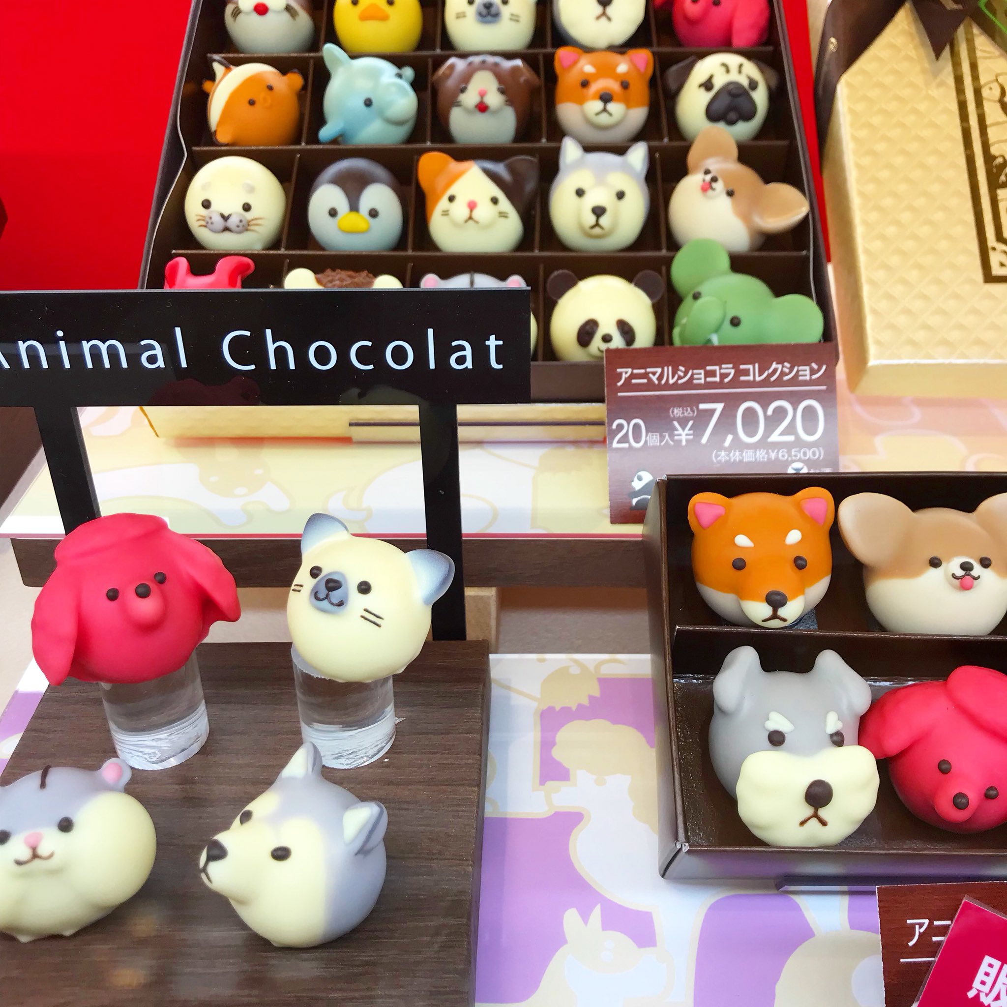 Lovebomb Sur Twitter お買い物リストの バレンタイン 用チョコを全部購入後にこんなかわいい子達に出会ってしまった アニマル チョコレート ゴンチャロフ Goncharoff Animalchocolate T Co Vveotkucb4 Twitter