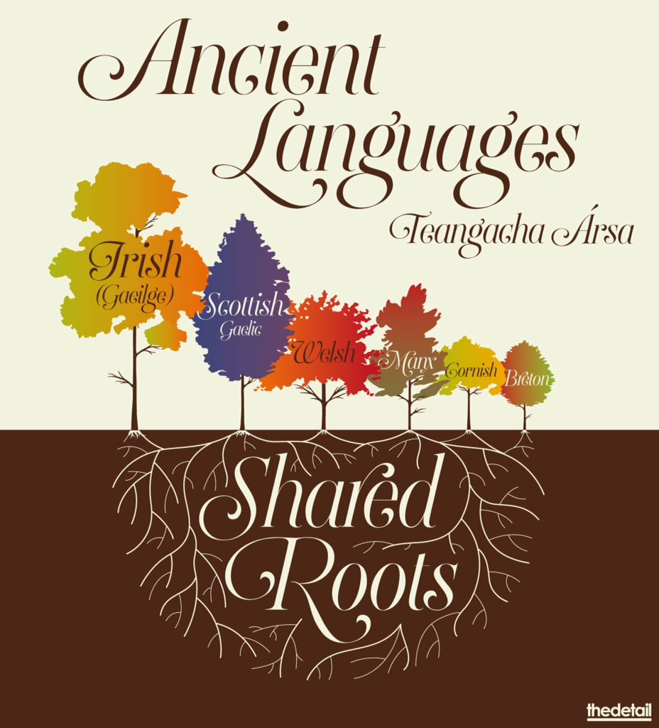 Stormont Circles (@stormontcircles) on Twitter photo 