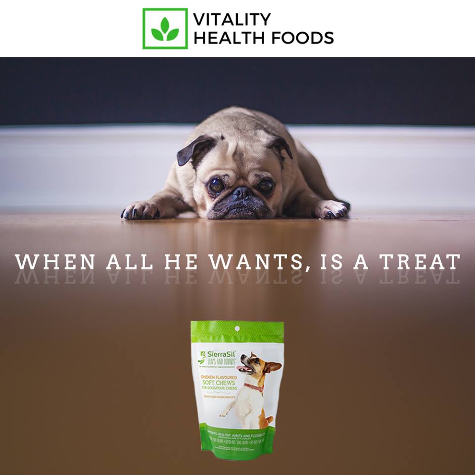 For all the dog lovers out there! Vitality Health Foods now carries SierraSil Leaps & Bounds Soft Chews for dogs. These reduce your pets pain and increase flexibility. All natural, gluten free and soy free! Hurry, they are going fast! #yeg #dogsofyeg #bonniedooncentre #healthy