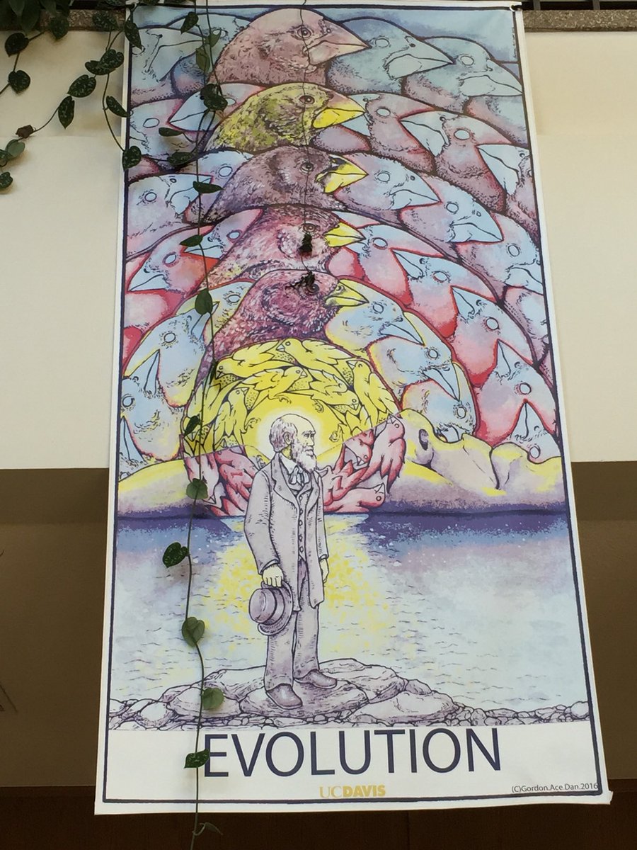 UCDavis_Egghead's tweet photo. “Endless forms most beautiful and most wonderful have been, and are being, evolved.”
Happy #DarwinDay from UC Davis’ Storer Hall @ucdavisbiology https://t.co/gMhp0gnsc1
