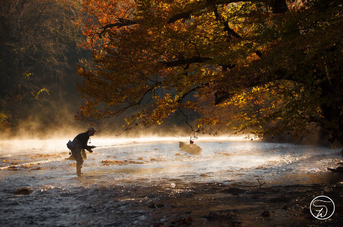 Morning fog burning off | Photo: David Cannon  #waltersflyrods