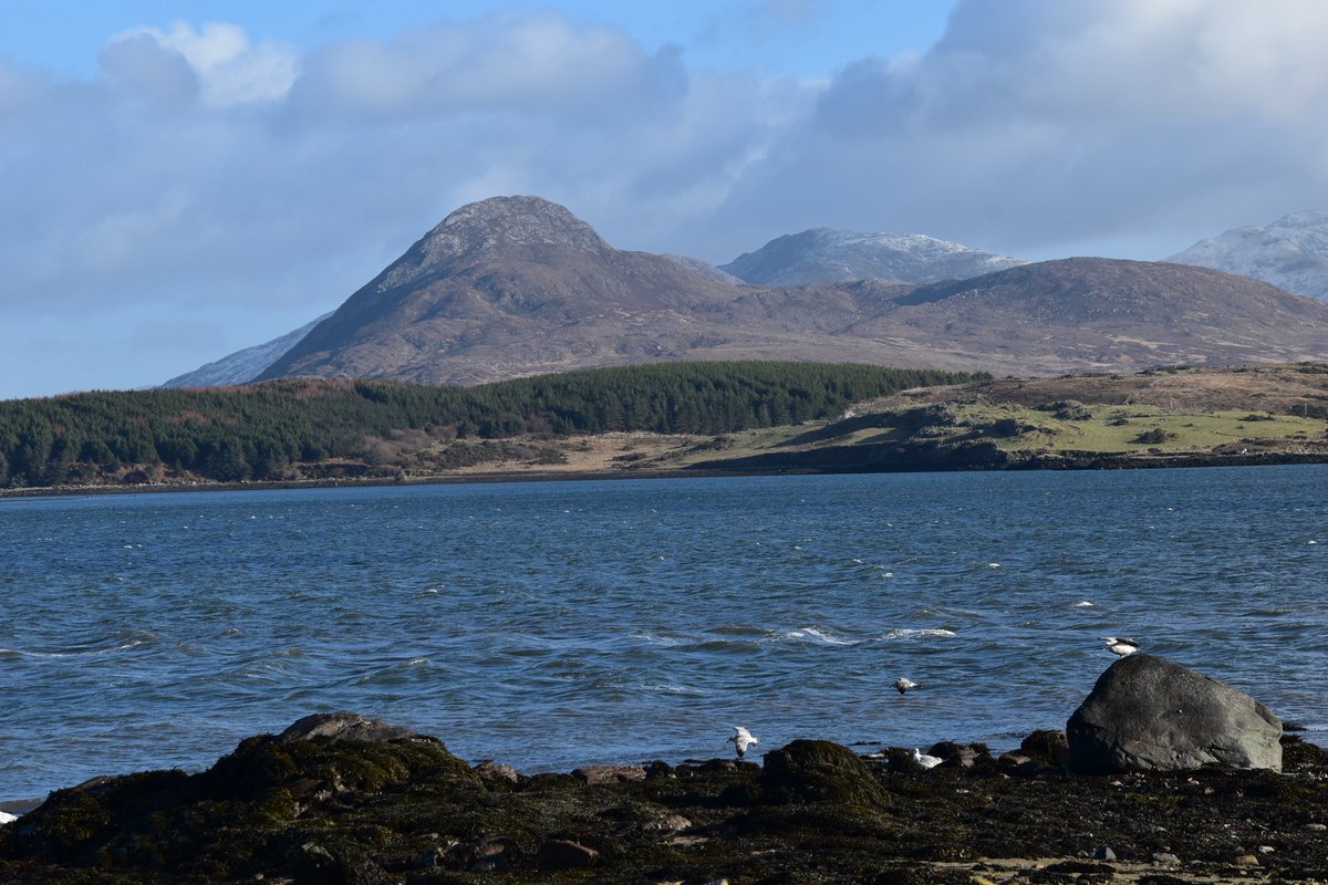 LonePeakbagger's tweet photo. A beautiful drive around Ballynakill Harbour and Cleggan, Connemara last Tuesday...
#connemara #cleggan #moyard #ballynakillharbour #ireland #twelvebens #diamondhill #snowtoppedmountains #scenicdrive #panoramicviews #WildAtlanticWay #irelandswildwest #beautifuldayforphotos https://t.co/HZ26ZLVPu3