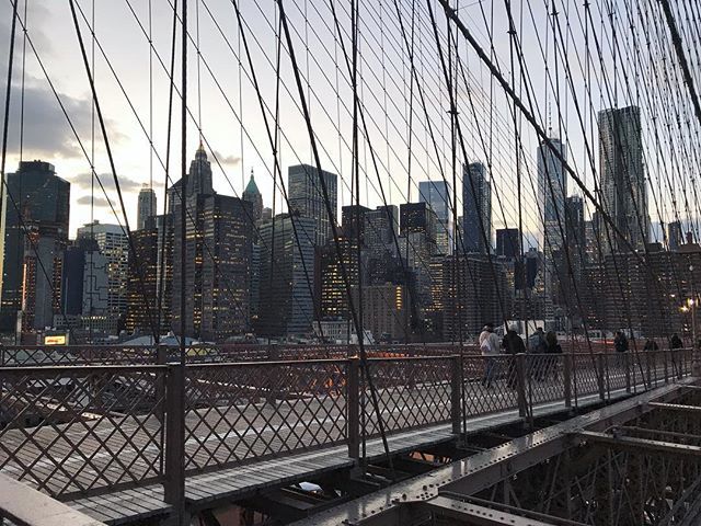 Alex Motz tweet media